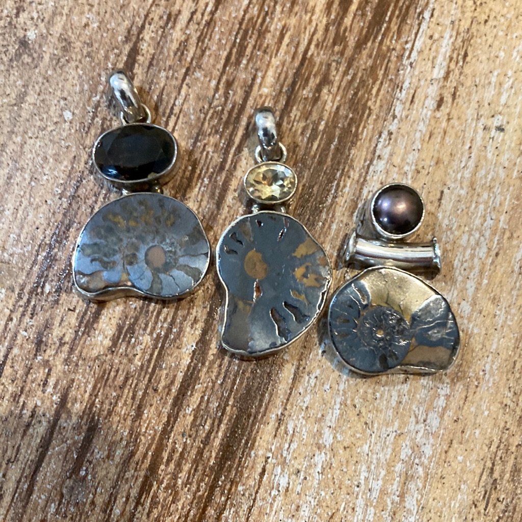 Ammonite Bundle (3)